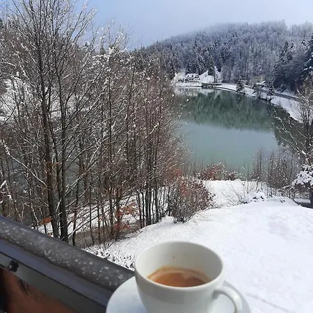 Kuca Gric, Tatil Evi *