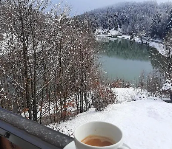 Kuca Gric, 度假居 *